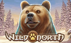 Wild North logo og bjørn