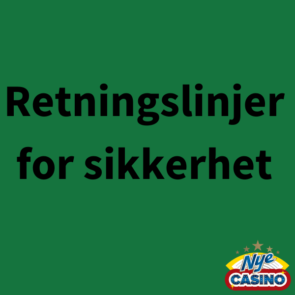 Retningslinjer for sikkerhet